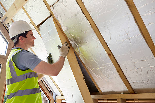 Best Specialized Insulation Services in Lower Grand Lagoon, FL